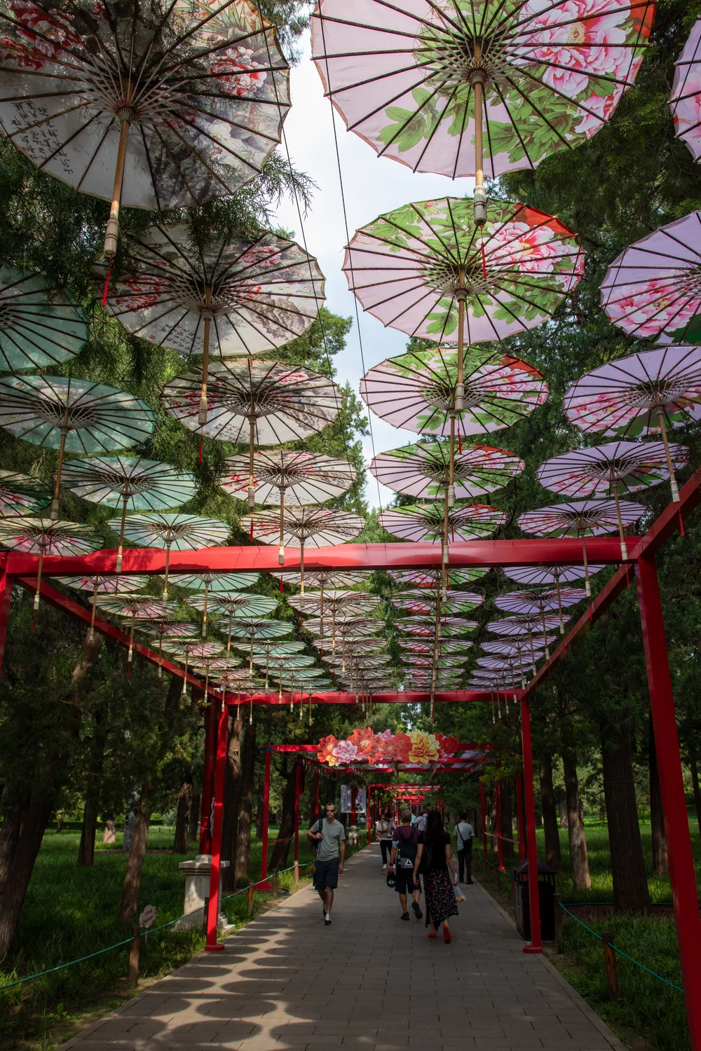Allée couverte de parapluies