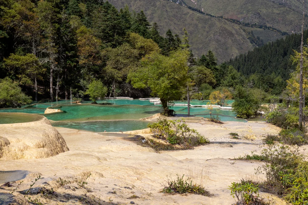 Piscine 2