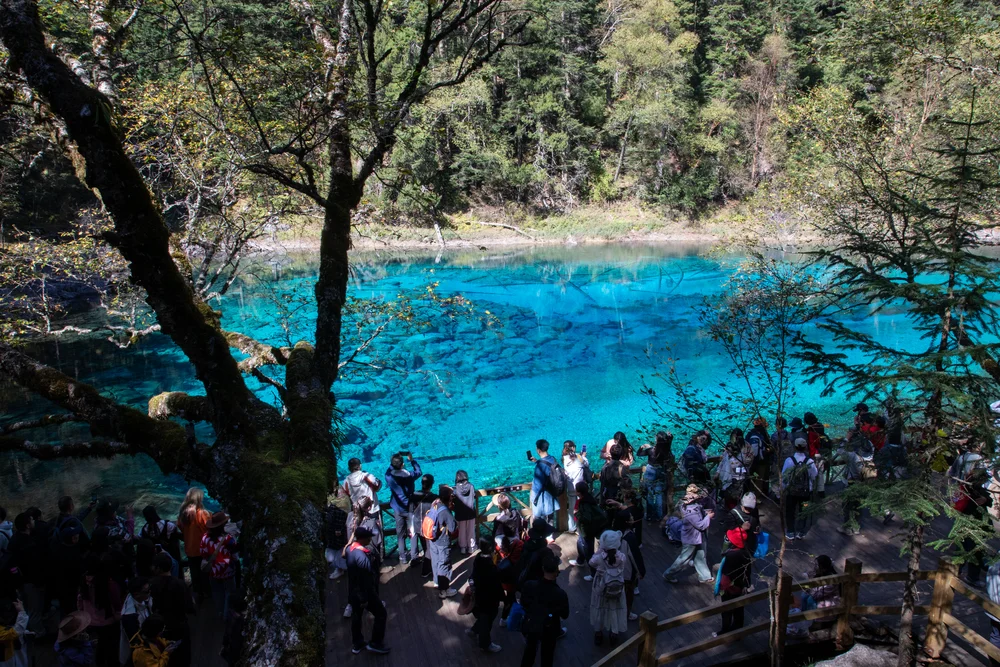 Five color pond