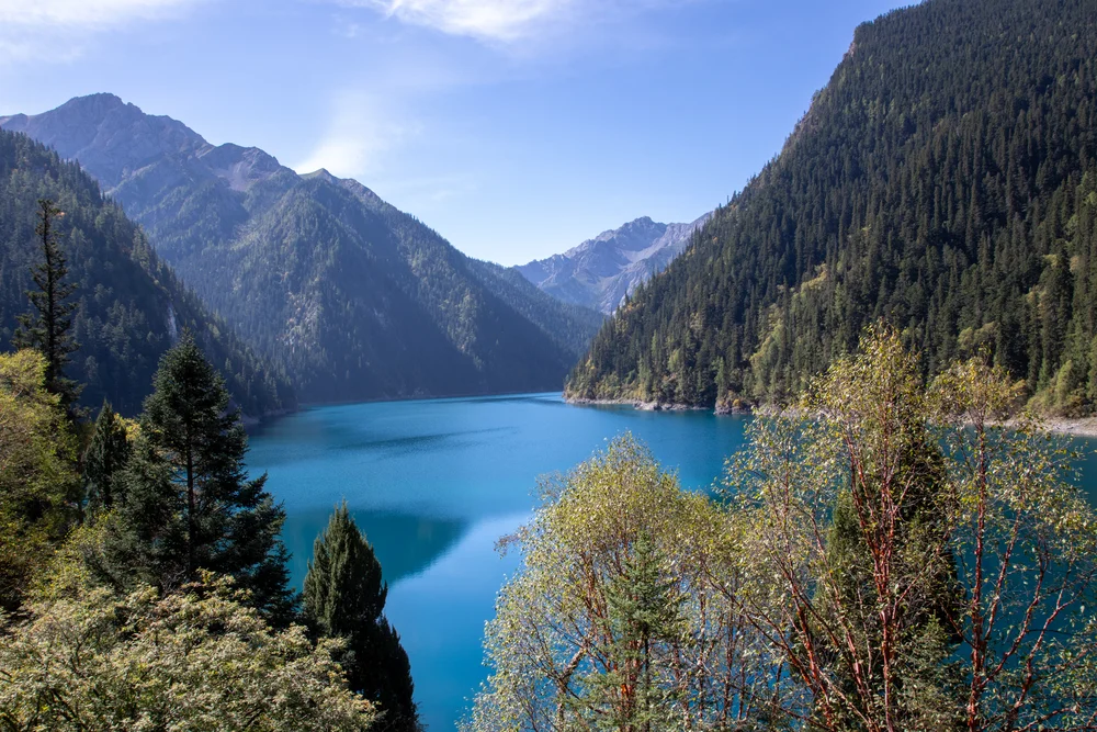 Long lake