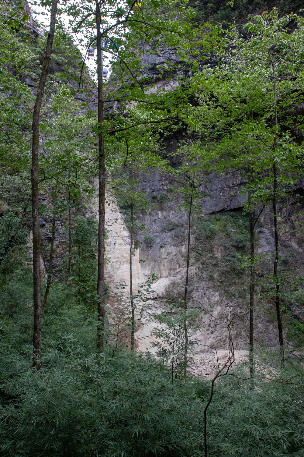 Cascade