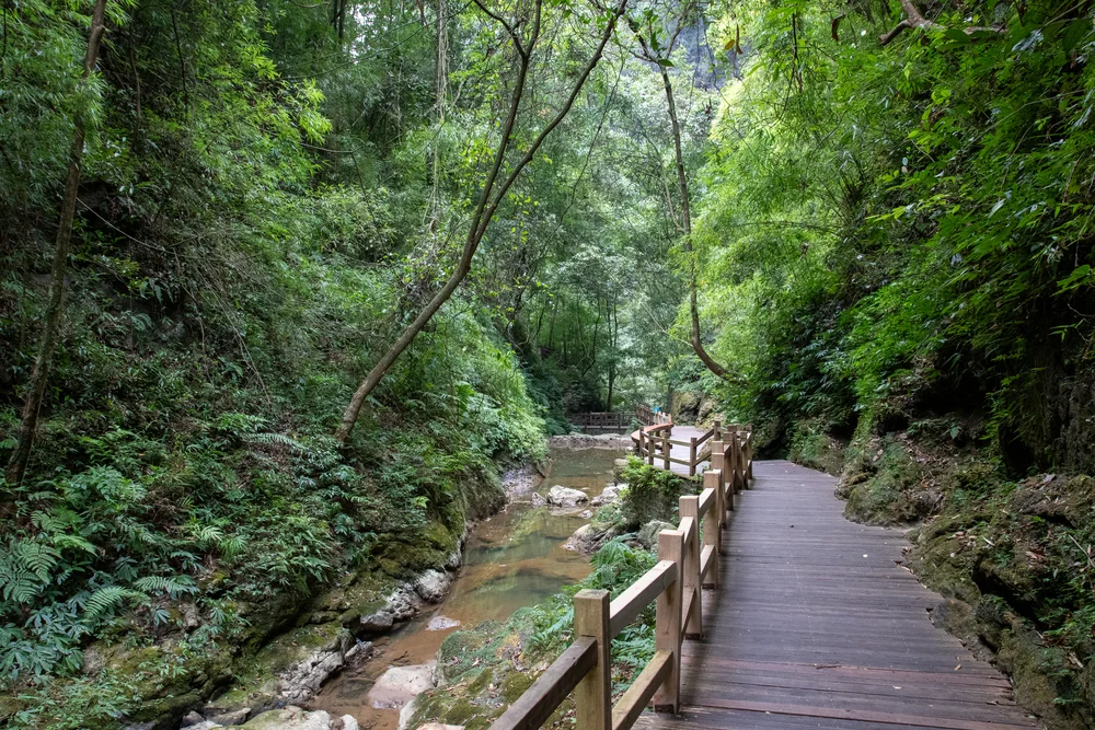 Gorges