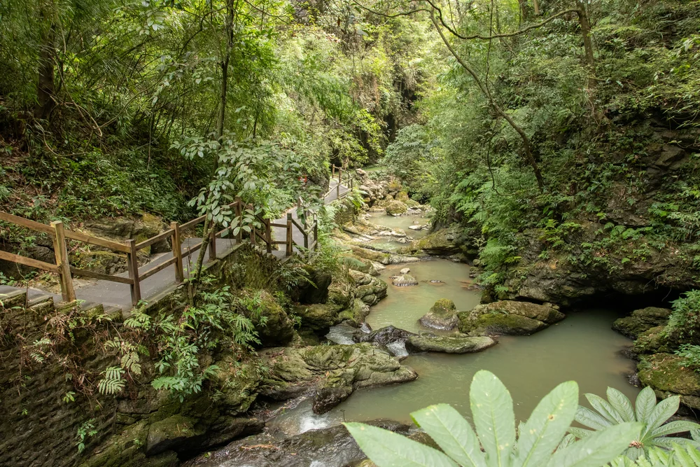 Gorges