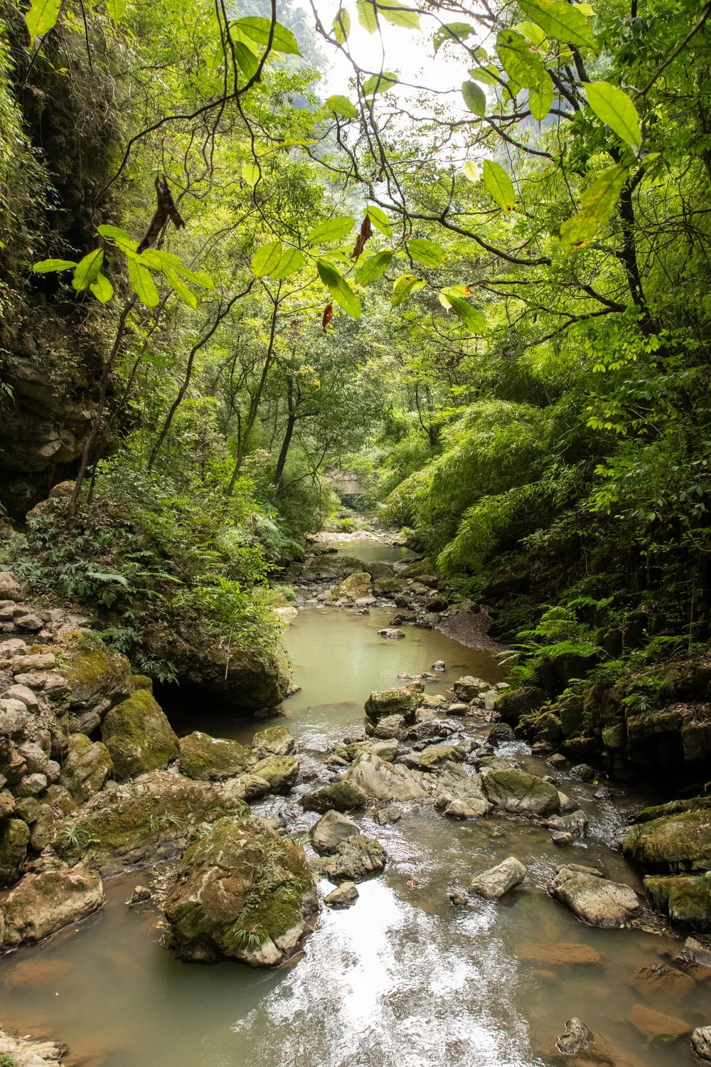 Gorges
