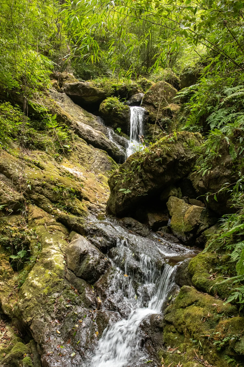 Cascade