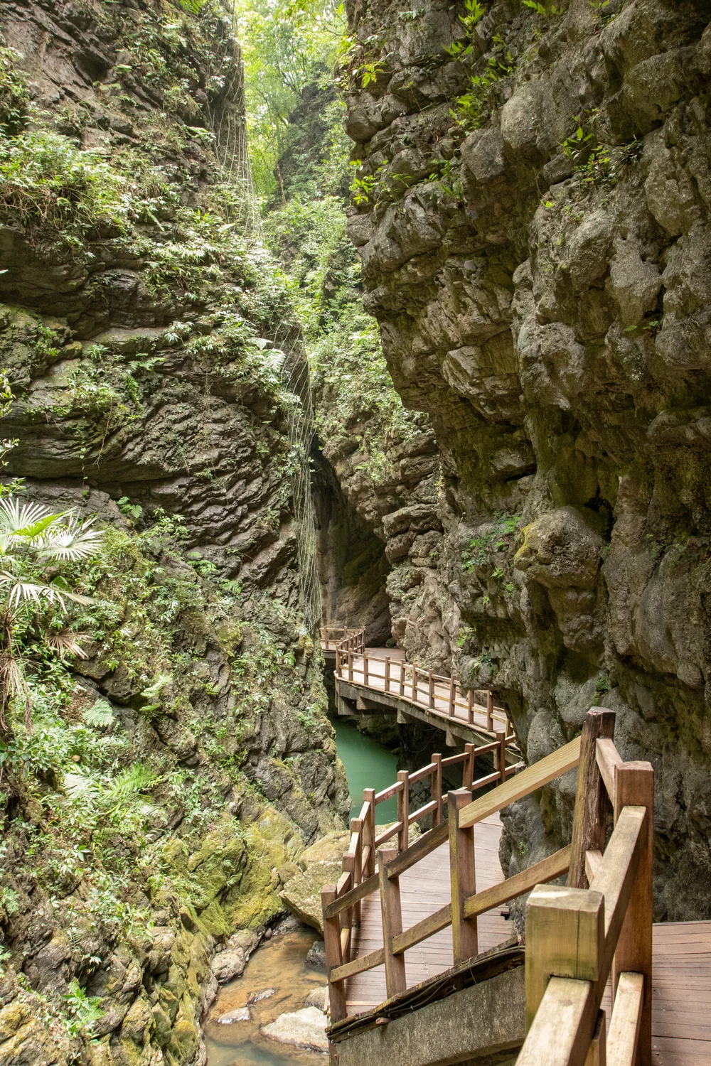 Canyon